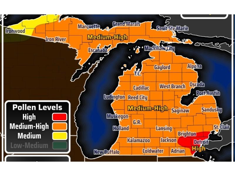 Michigan Pollen Levels Hit Medium to High Across Most of the State Saturday April 11 as Maple, Elm and Juniper Top the Allergen List